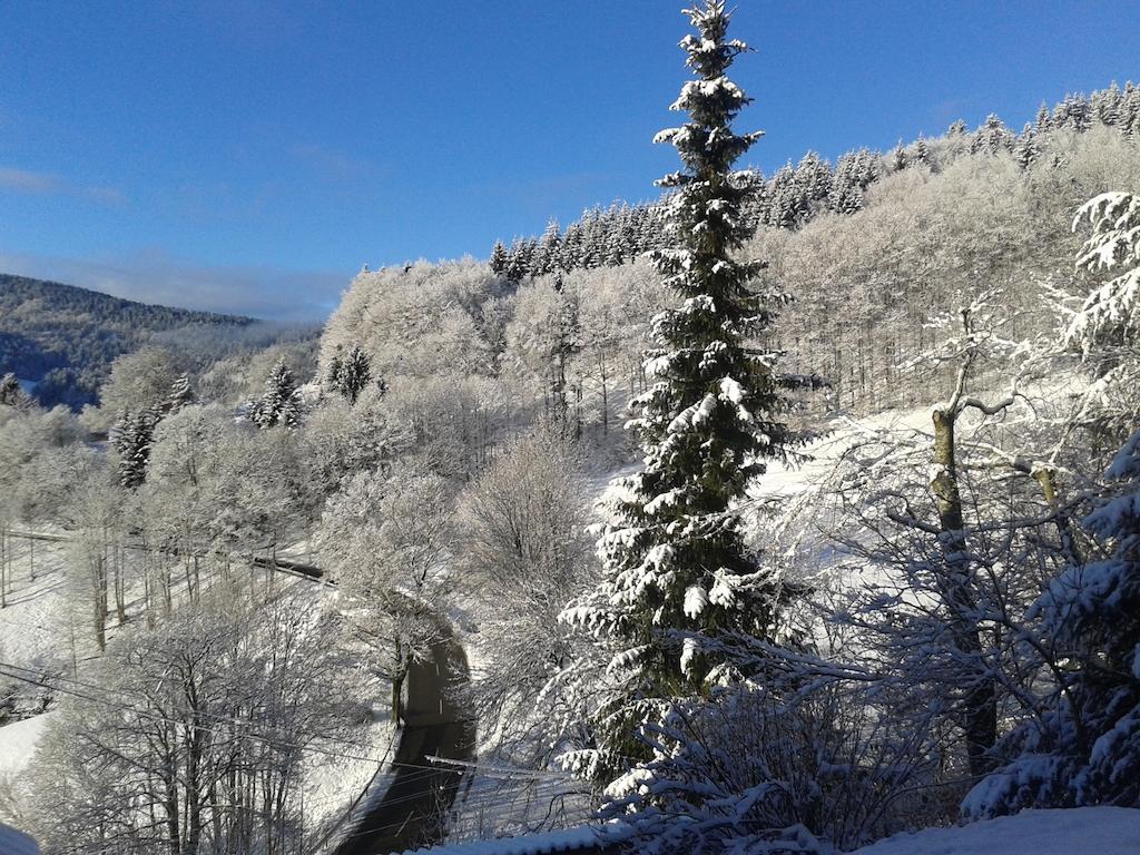 "Gutshof Lilienfein" - Medical Resort & Herbal Spa Im Suedschwarzwald Виден Екстериор снимка